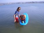 Bono, the Lab, Learns to Surf