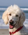 Enjoying the beach!